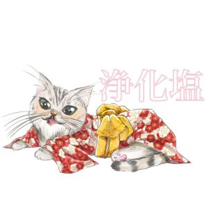 画像: 浄化塩  (ハーフサイズ　250ｇ）